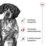Royal Canin Medium 11-25 кг за възрастни кучета 7+ 15 кг
