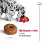 Royal Canin Medium 11-25 кг. Зреене 10+ 15 кг.