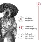 Royal Canin Medium 11-25 кг. Зреене 10+ 15 кг.