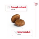 Royal Canin Maxi 26-45 Kg Adult 5+ 4Kg