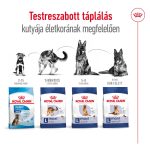 Royal Canin Maxi 26-45 Kg Adult 5+ 4Kg