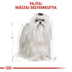 Royal Canin Maltese Adult 500G