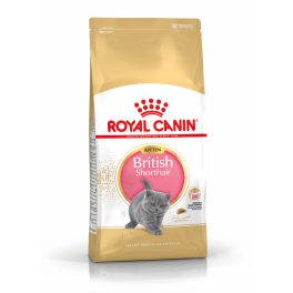 Royal Canin British Shorthair Kitten 2Kg