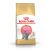 Royal Canin British Shorthair Kitten 2 кг