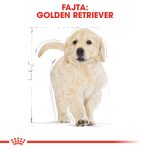 Royal Canin Golden Retriever Puppy 3Kg