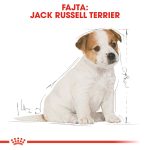 Royal Canin Jack Russell Terrier Adult 1,5Kg