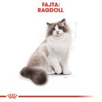 Royal Canin Ragdoll Adult 400G