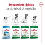 Royal Canin Mini Adult 8+ 4-10 кг 8 кг