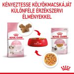 Royal Canin Kitten Jelly (12*85G)