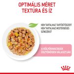 Royal Canin Kitten Jelly (12*85G)