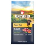 Ontario Kölyök kis testű kutyaeledel bárányhús és barna rizs 6,5 kg