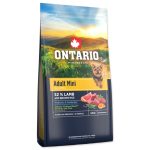 Ontario Felnőtt kis testű kutyaeledel bárányhús és barna rizs 6,5 kg