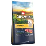 Ontario Senior kis testű kutyaeledel bárányhús és barna rizs 6,5 kg