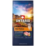 Ontario Felnőtt közepes testű kutyaeledel csirkehús és édesburgonya 12 kg