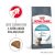 Royal Canin Hairball Care 10Kg