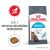 Royal Canin Urinary Care 400G