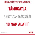 Royal Canin Urinary Care 400G