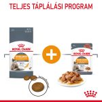 Royal Canin Hair & Skin Care 2 кг