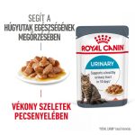 Royal Canin Urinary Care (12*85 г)
