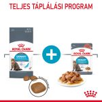 Royal Canin Urinary Care (12*85 г)