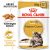 Royal Canin Maine Coon Adult (12*85G)