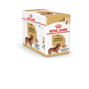 Royal Canin Dachshund Adult (12*85G)