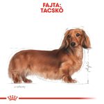 Royal Canin Dachshund Adult (12*85G)