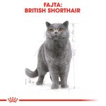 Royal Canin British Shorthair Adult (12*85G)