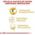 Royal Canin British Shorthair Adult (12*85G)