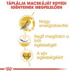 Royal Canin Szfinx Felnőtt 2Kg