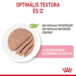 Royal Canin Kitten Loaf (12*85G)