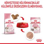 Royal Canin Kitten Loaf (12*85G)