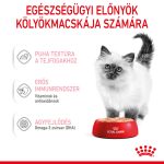 Royal Canin Kitten Loaf (12*85G)