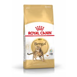 Royal Canin Bengal Adult 2Kg
