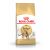 Royal Canin Bengal Adult 400G