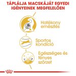 Royal Canin Bengal Adult 400G