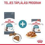 Royal Canin Hairball Care (12*85 г) за намаляване образуването на космени топки