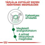 Royal Canin Wet Mini Adult (12*85G)