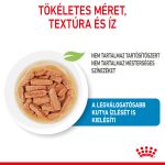 Royal Canin Wet Medium Puppy (10*140G)