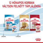 Royal Canin Wet Medium Puppy (10*140G)