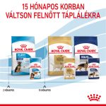 Royal Canin Wet Maxi Puppy (10*140 г)