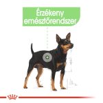 Royal Canin Digestive Care (12*85G)
