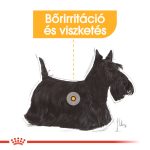 Royal Canin Dermacomfort (12*85 г)