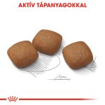 Royal Canin Maxi Joint Care 10 кг