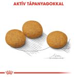 Royal Canin Medium Dermacomfort 3 кг