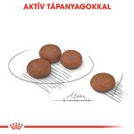 Royal Canin Mini Digestive Care 1Kg