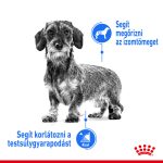 Royal Canin Mini Light Weight Care 3Kg