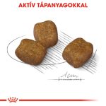 Royal Canin Mini Dental Care 8 кг