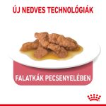 Сос за вътрешен прием Royal Canin (12*85 г)