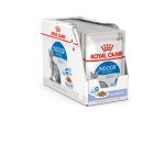 Royal Canin Indoor Jelly (12*85G)